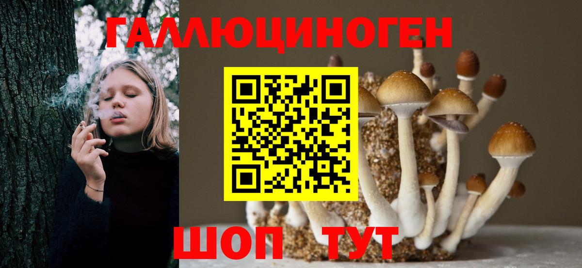 Галлюциногенные грибы мухоморы  Псилоцибиновые грибы MAGIC MUSHROOMS  Невинномысск  Вход с VPN 