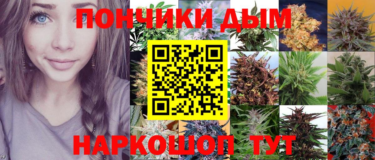 Каннабис OG Kush  Вход с VPN  Невинномысск  Бошки марихуана план  Канабис сатива 
